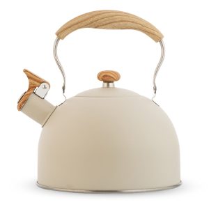 Stainless Steel Tea Kettle